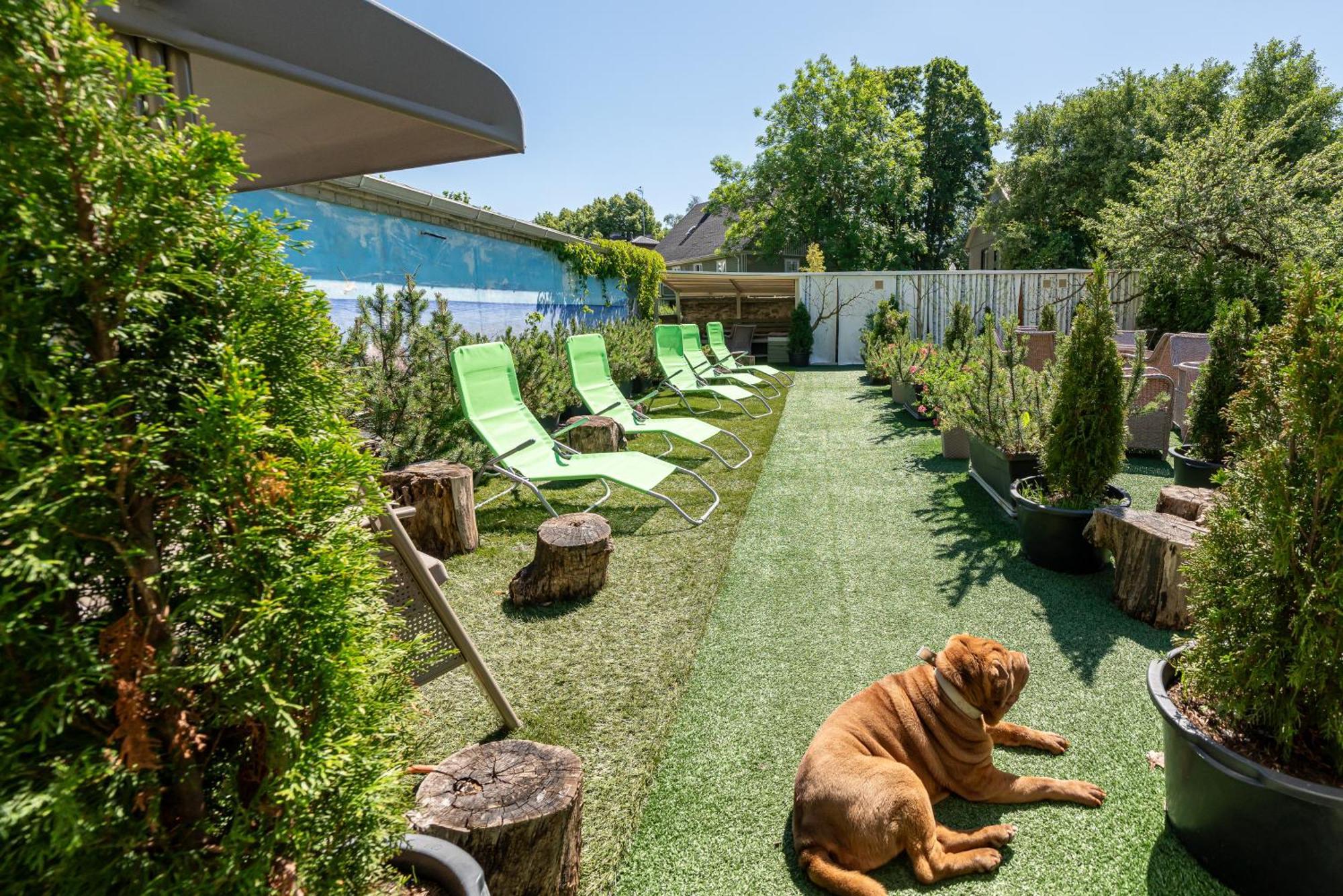 Garden Camping Талин Екстериор снимка